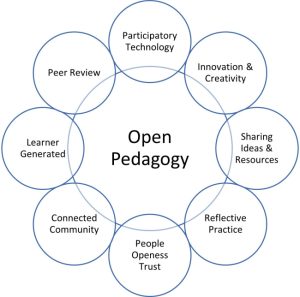 Digital Pedagogy. Definition And Conceptual Area – Educația Digitală